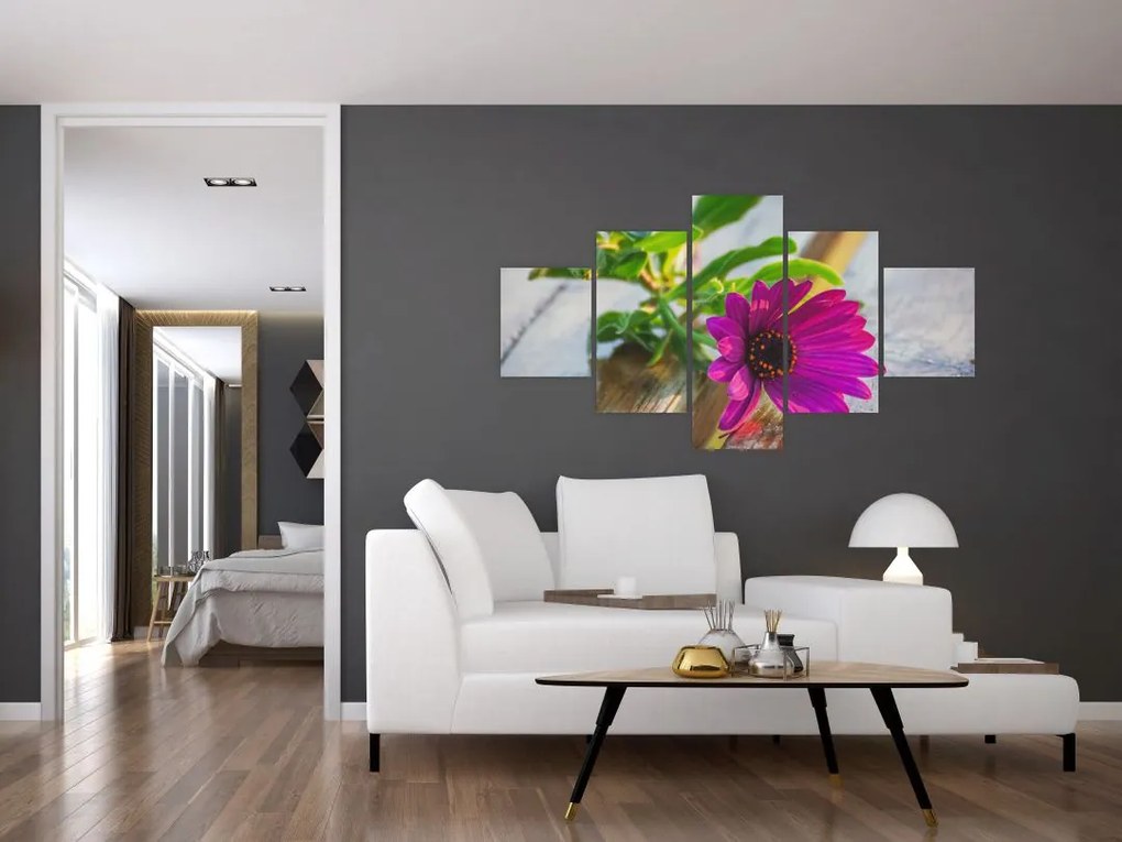 Obraz ciętego kwiatu (125x70 cm)