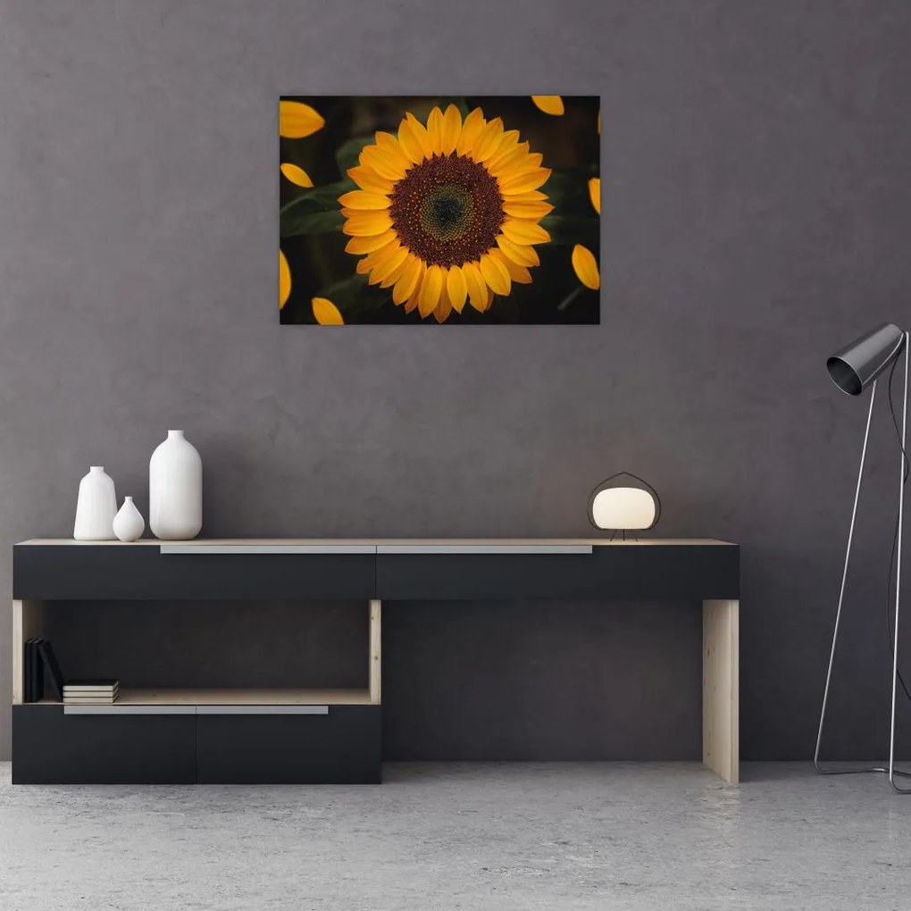 Obraz na szkle  - Słonecznik i płatki kwiatów (70x50 cm)