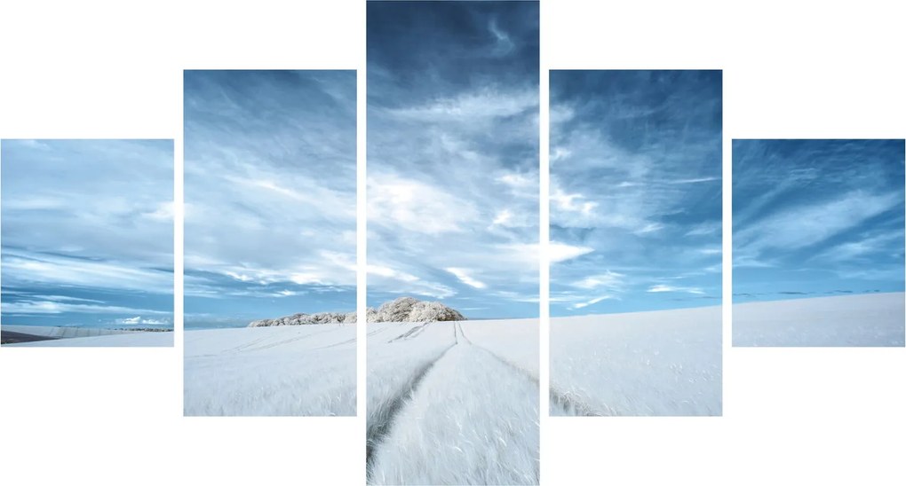 Obraz pola (125x70 cm)