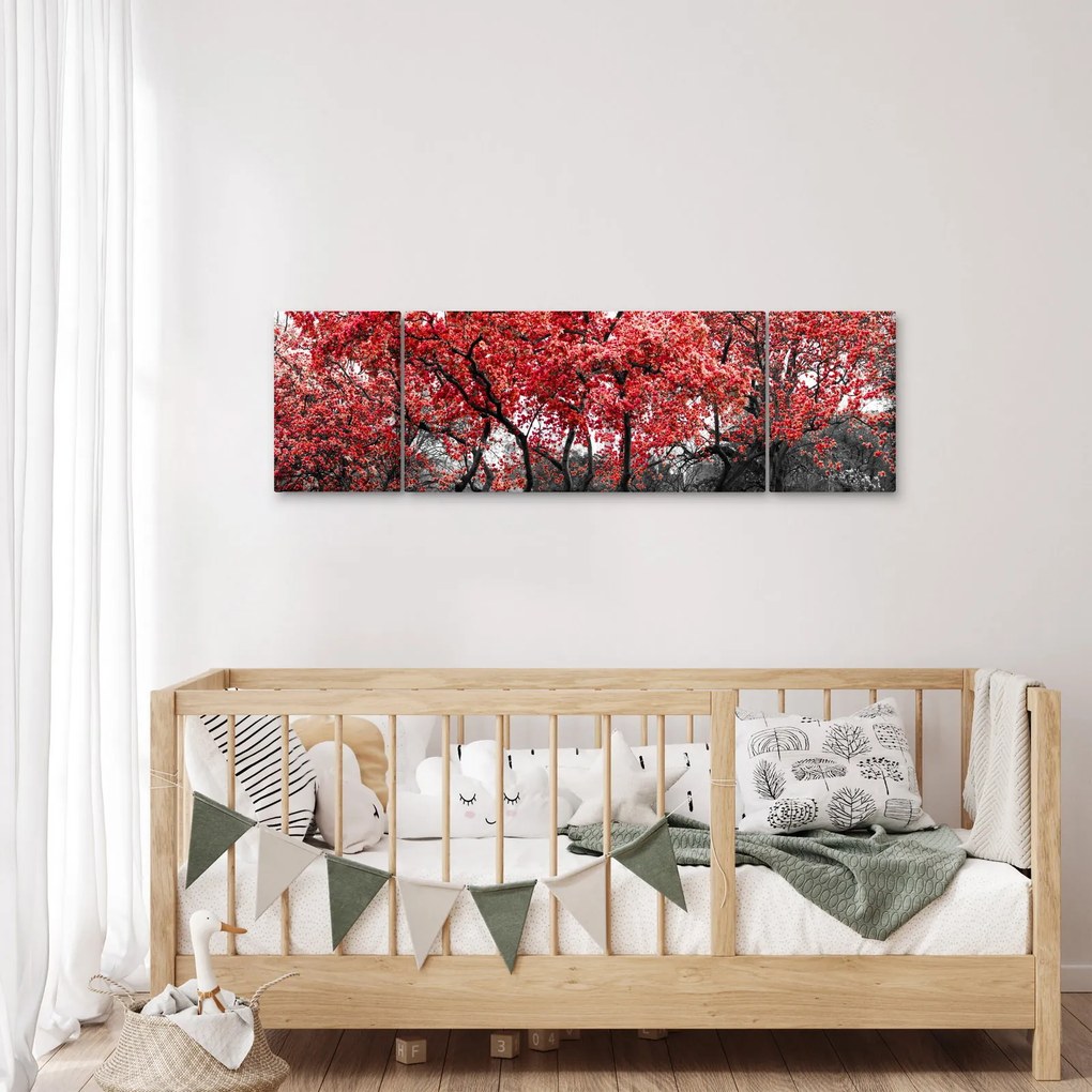 Obraz - Czerwone drzewa, Central Park, New York (170x50 cm)