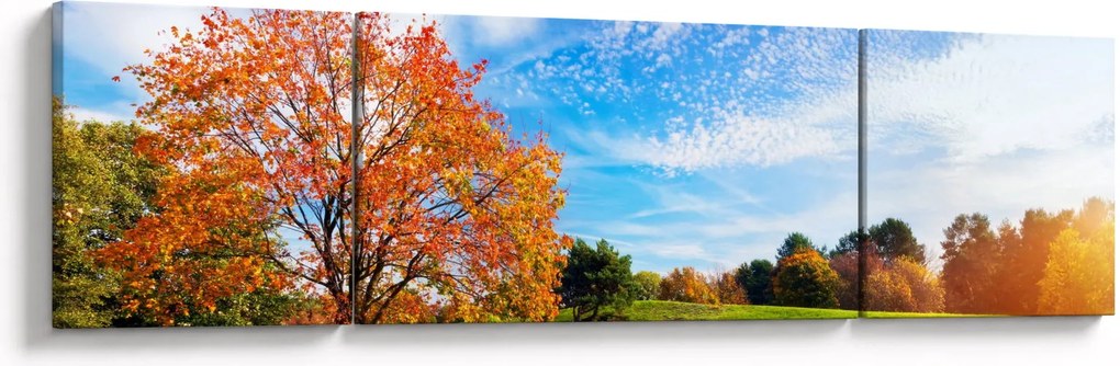 Obraz - Jesienny krajobraz (170x50 cm)