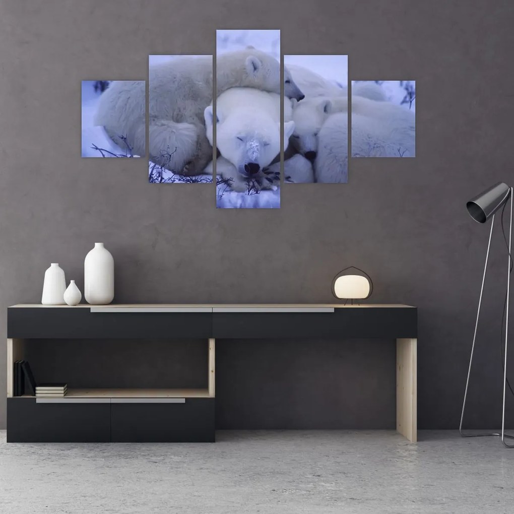 Obraz - Niedźwiadki polarne (125x70 cm)