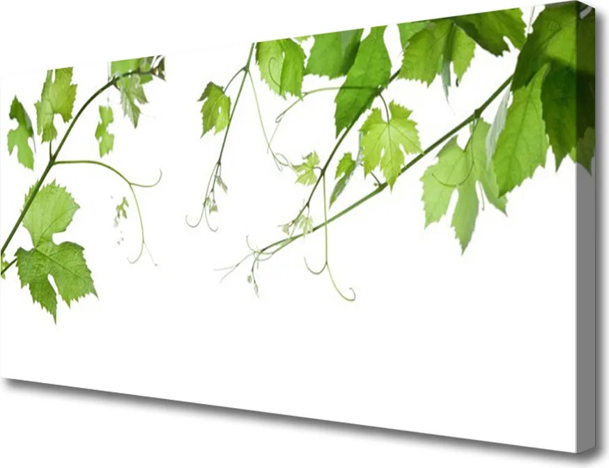 Fotoobraz na płótnie Kwitnące Gałązki Wiśni