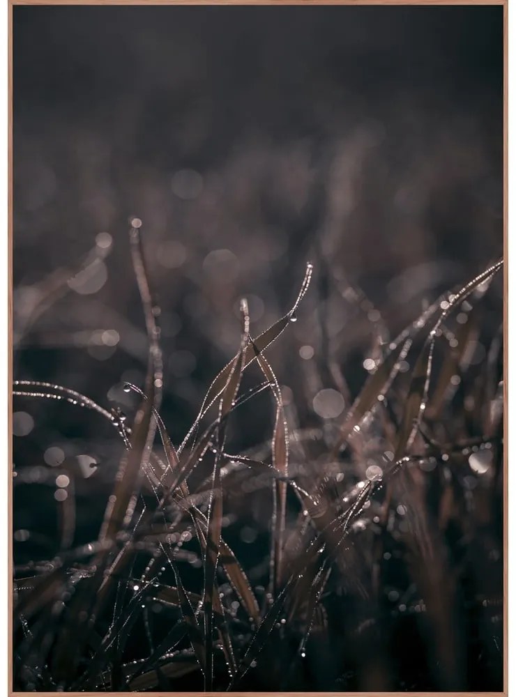 Obraz 50x70 cm Mellow Grasses 5 – Malerifabrikken