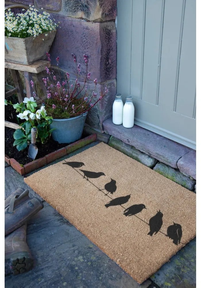 Wycieraczka z włókna kokosowego 60x90 cm Birds On a Wire – Artsy Doormats