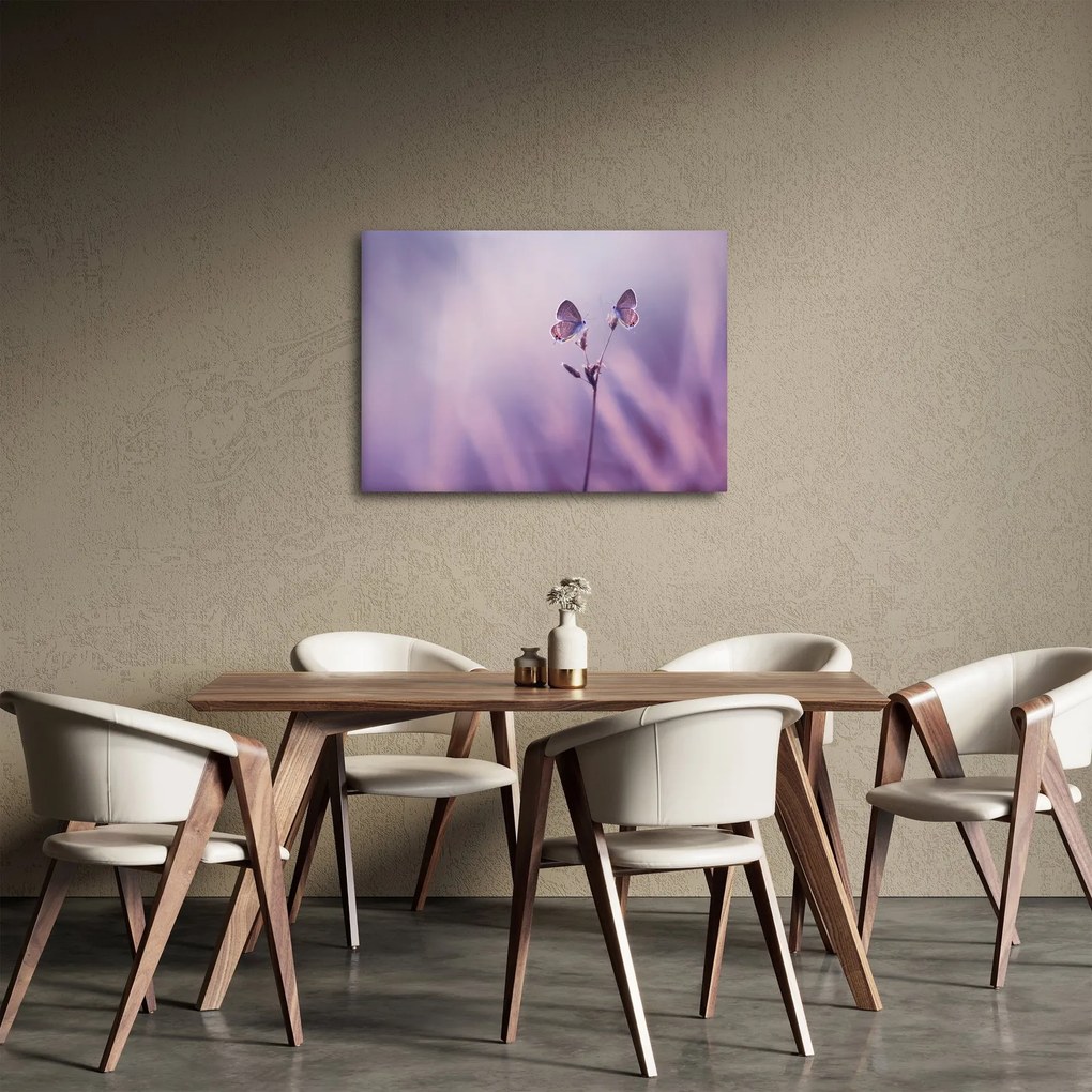 Obraz - Fioletowe motyle (70x50 cm)
