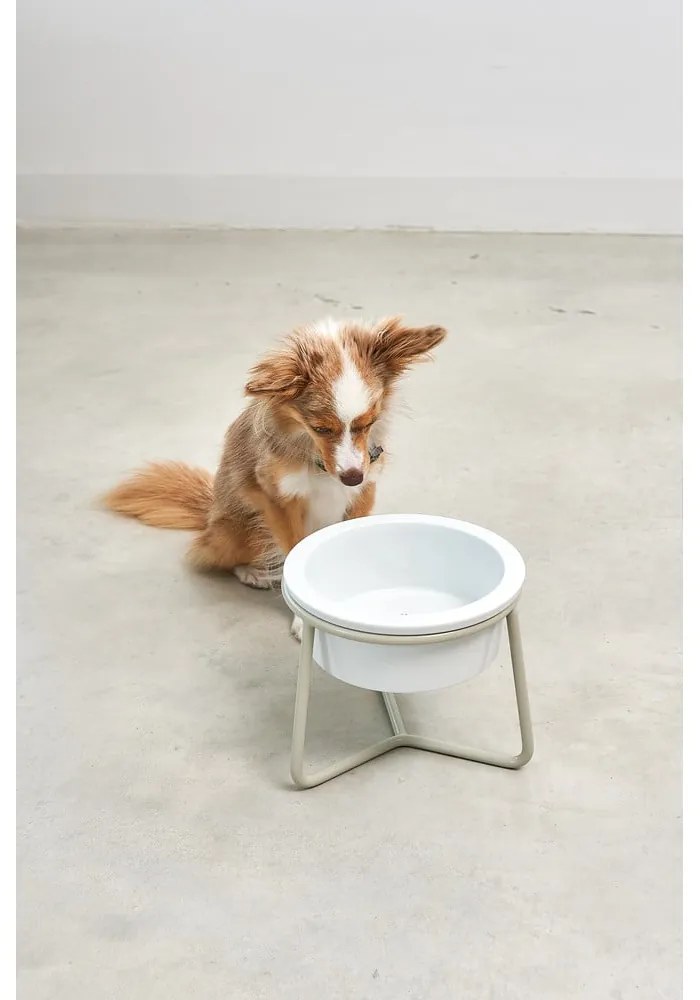 Porcelanowa miska ze stojakiem dla psów ø 20 cm Pranzo Greige M – MiaCara
