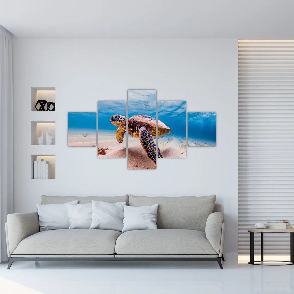 Obraz żółwia w oceanie (125x70 cm)