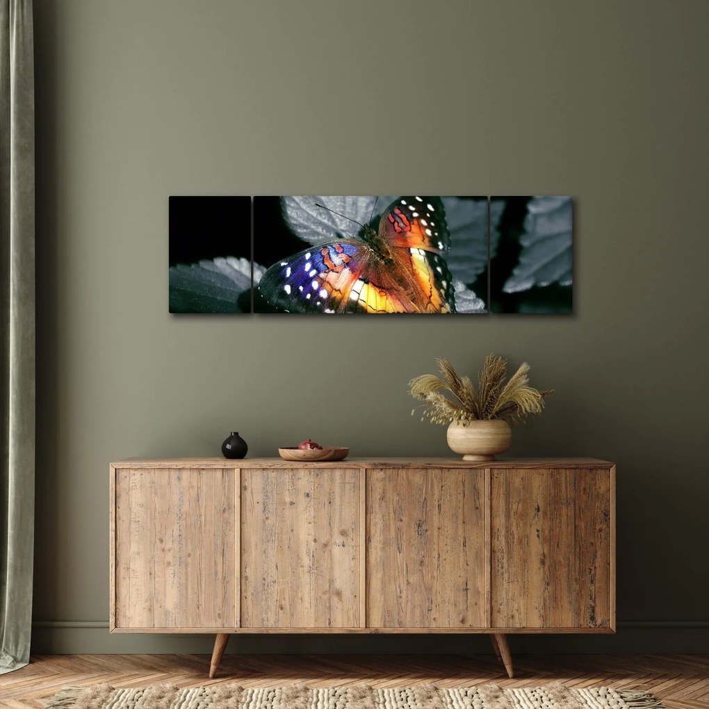 Obraz motyla (170x50 cm)