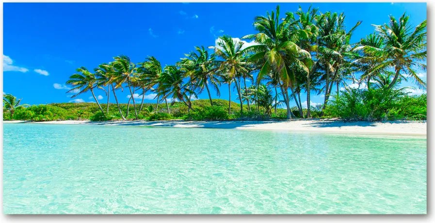 Foto obraz szkło akryl Tropikalna plaża