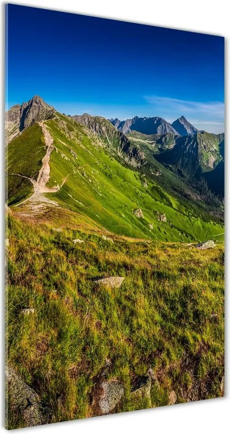 Foto obraz szkło akryl pionowy Tatry