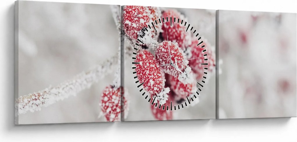 Obraz - Mrożone owoce (z zegarem) (90x30 cm)
