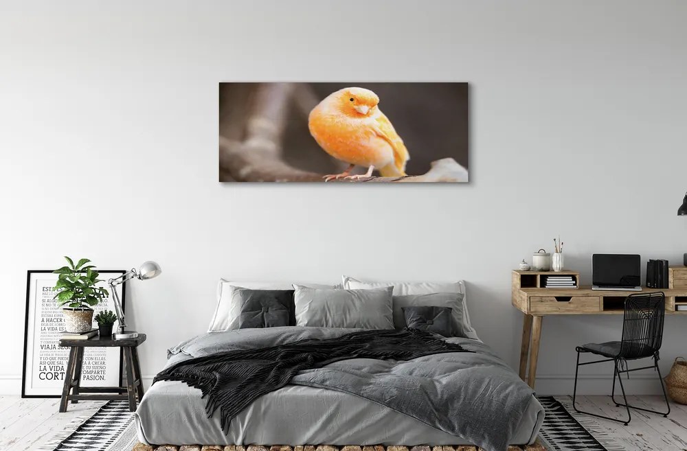 Obraz canvas na ścianę Papuga na Gałęzi