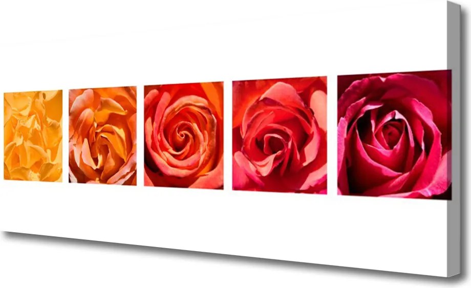 Obraz canvas Elegancja Herbacianych Róż