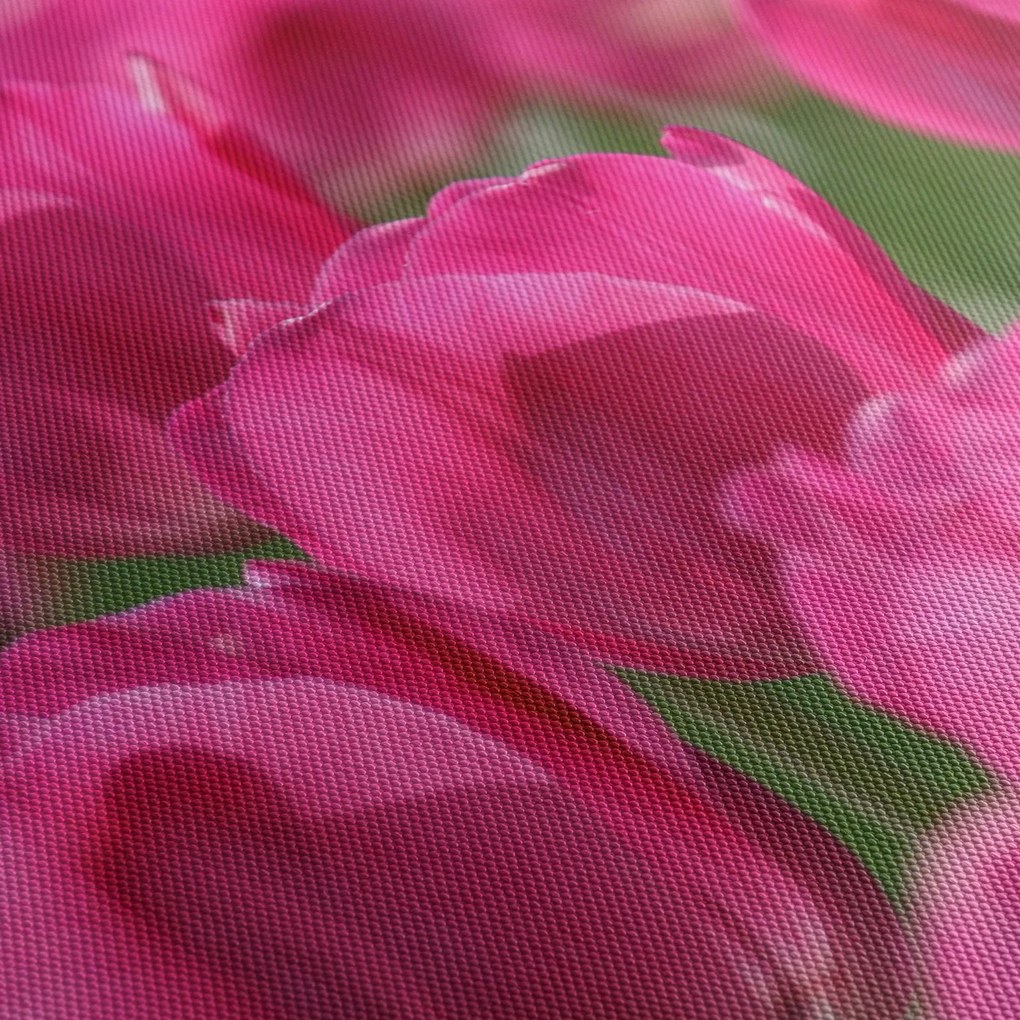 Obraz - Różowe tulipany (z zegarem) (90x30 cm)