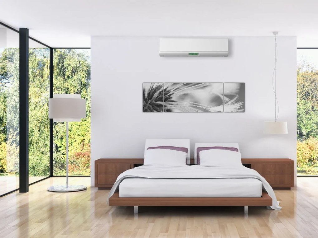 Obraz - Mlecz (170x50 cm)
