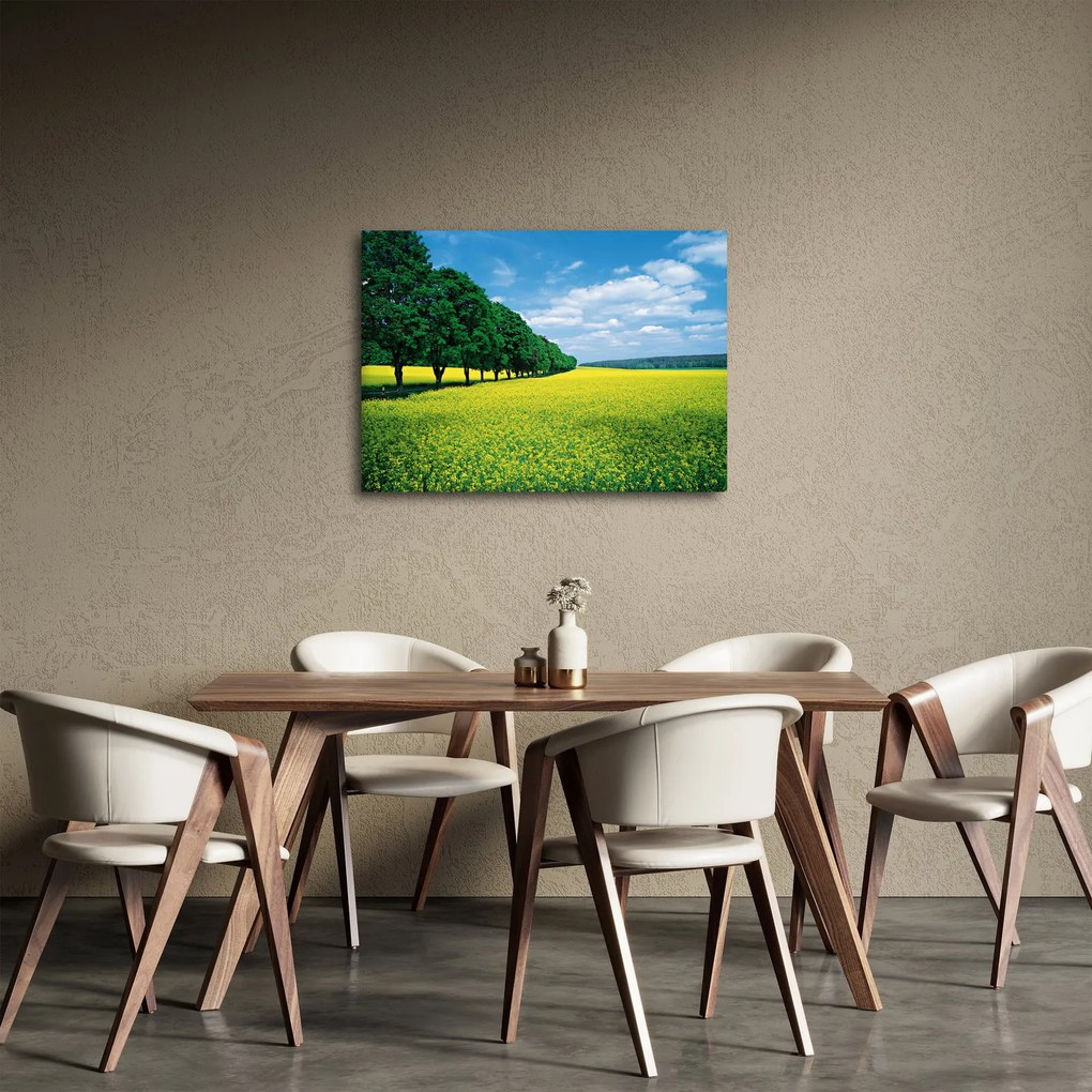 Obraz pola z aleją (70x50 cm)