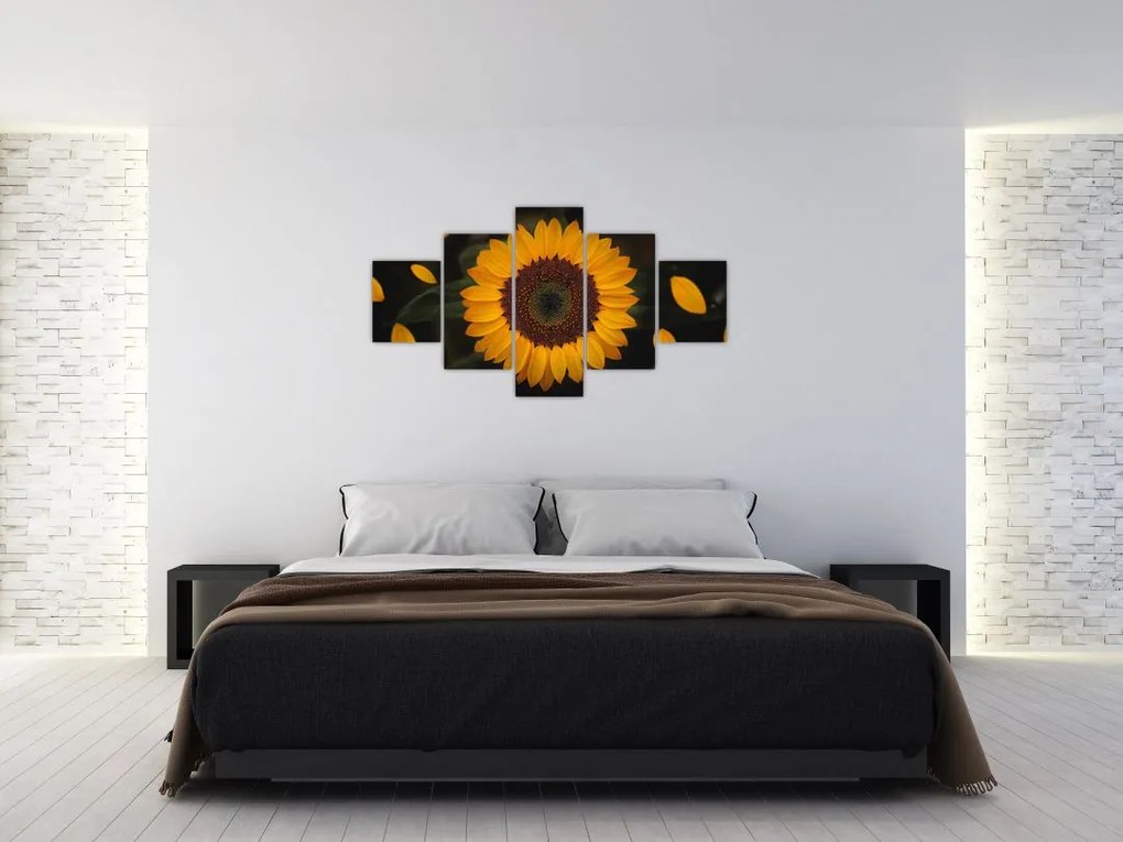 Obraz  - Słonecznik i płatki kwiatów (125x70 cm)