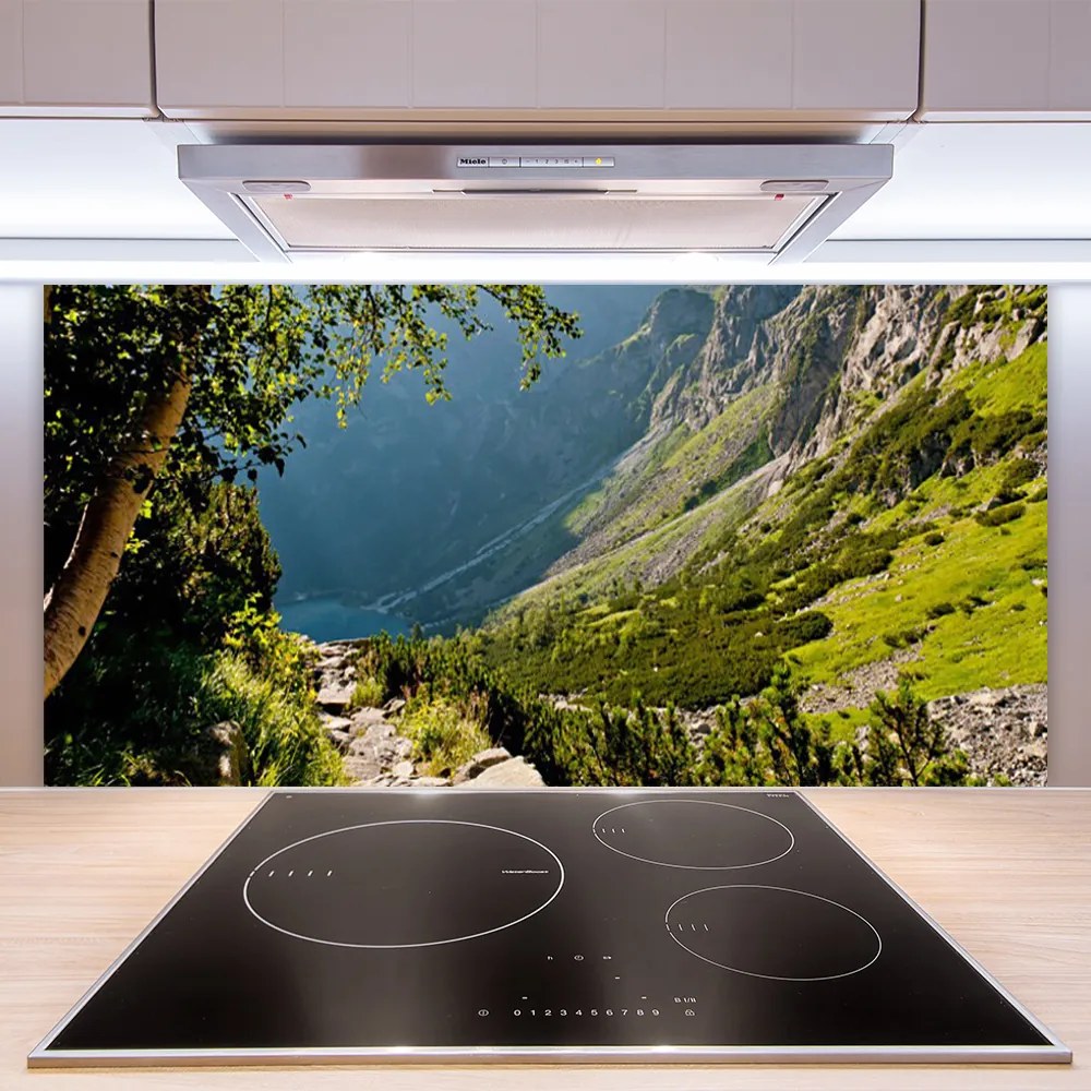 Panel Szklany Dzika Natura W Górach