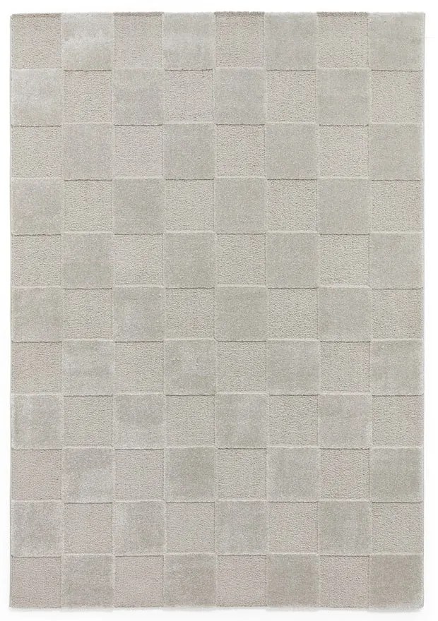 Jasnoszary dywan 200x290 cm Elio Silver – Think Rugs