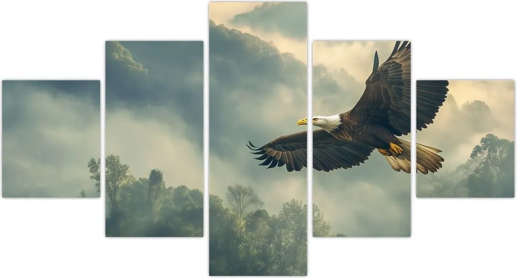 Obraz - Lecący orzeł (125x70 cm)