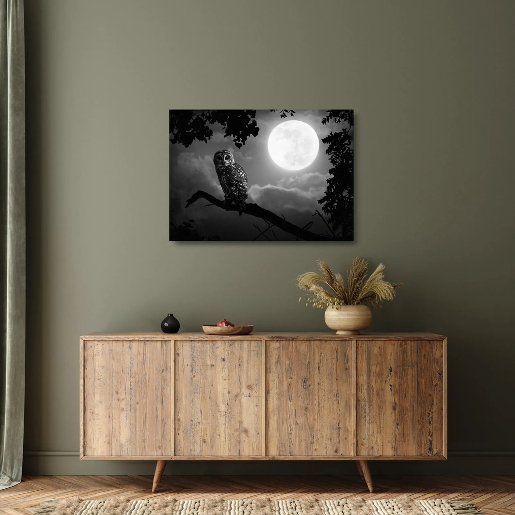 Obraz na szkle - Nocna sowa, czarno-biały (70x50 cm)