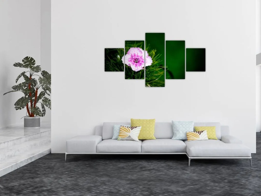 Obraz kwiatu róży (125x70 cm)