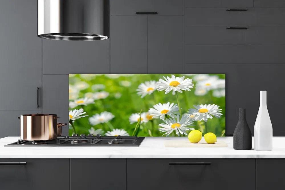 Panel Szklany Skromność Polnej Stokrotki