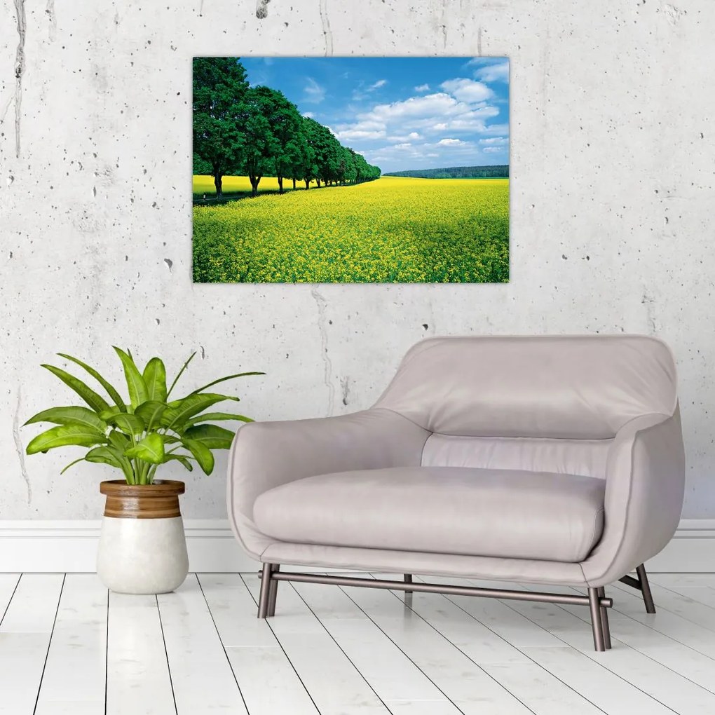 Obraz na szkle pola z aleją (70x50 cm)