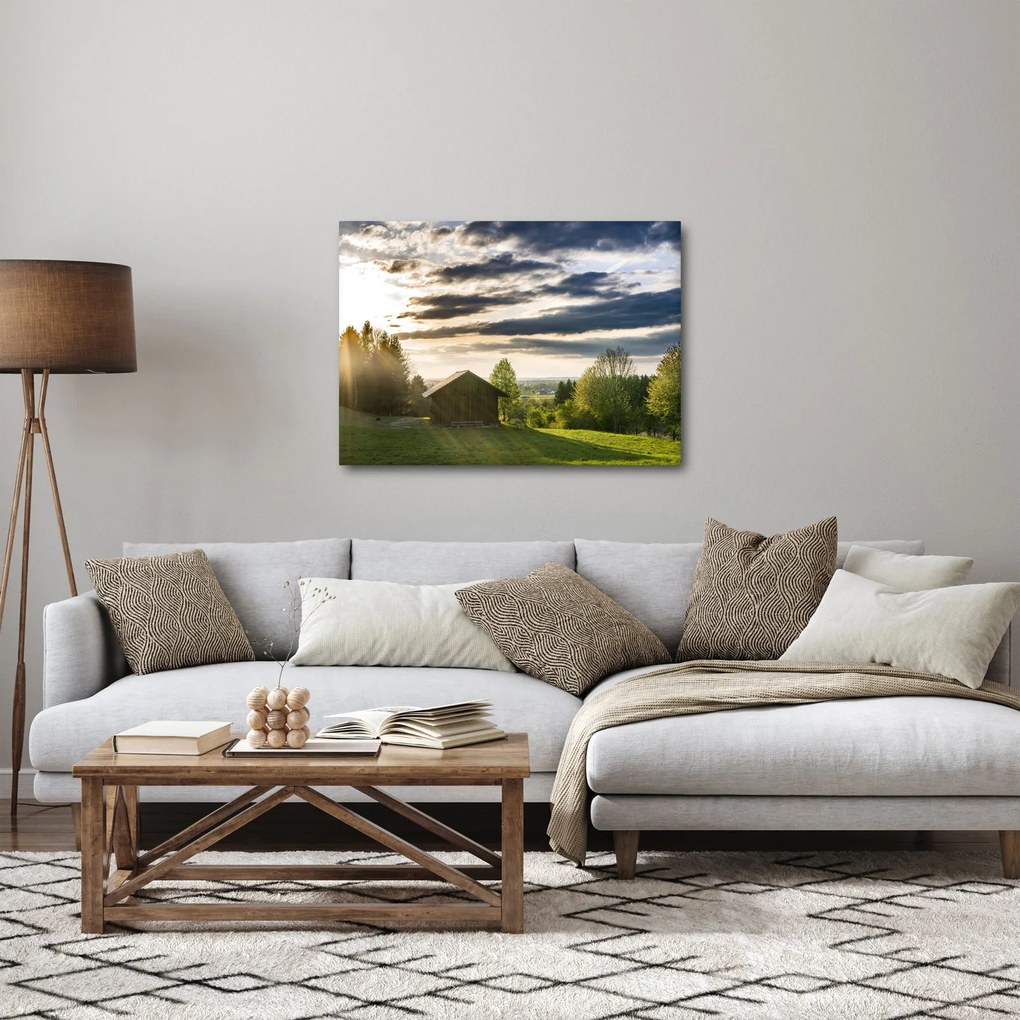 Obraz domku na łące (70x50 cm)