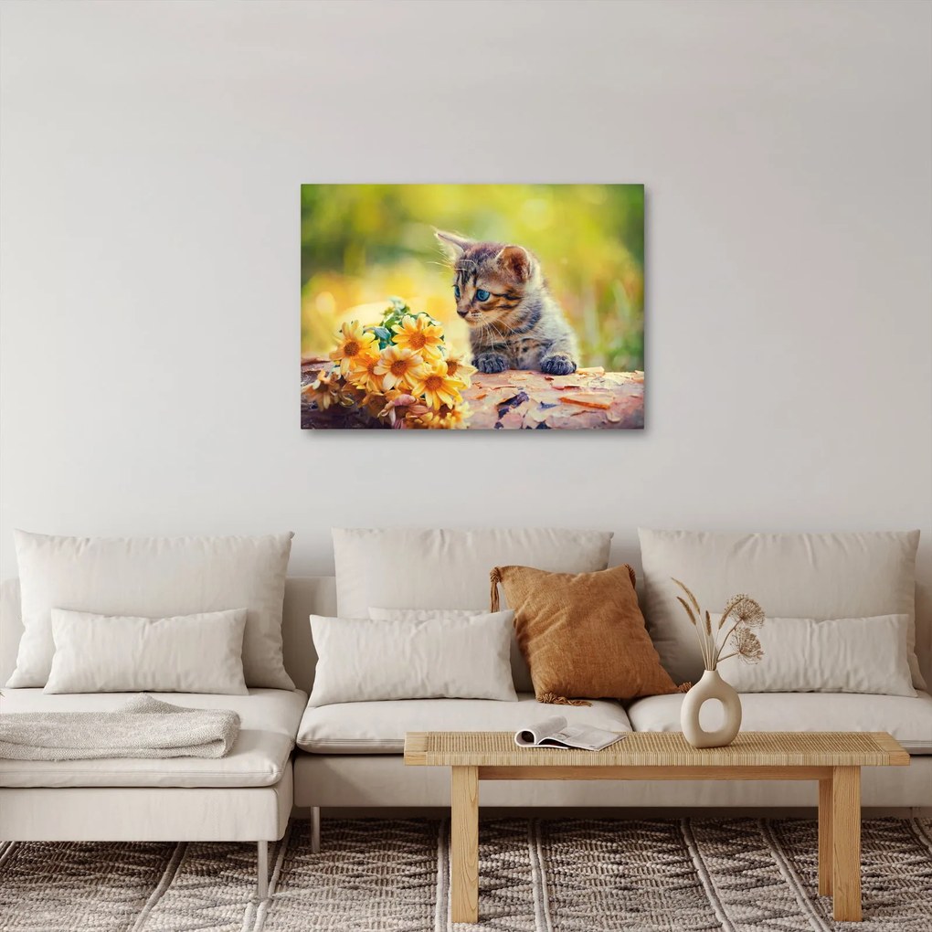 Obraz kotka patrzącego na kwiat (70x50 cm)