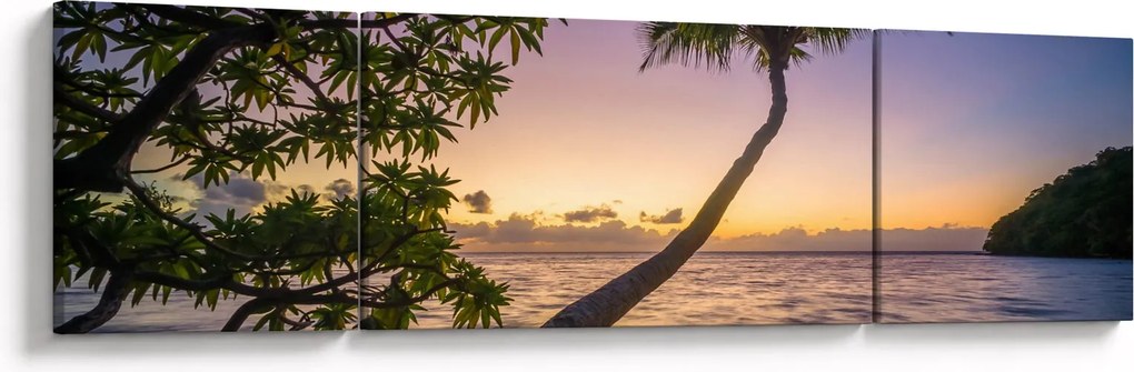 Obraz palmy na plaży (170x50 cm)