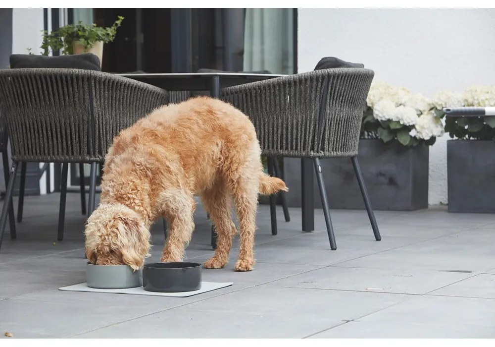 Porcelanowa miska dla psów ø 20 cm Scodella Graphite M/L – MiaCara