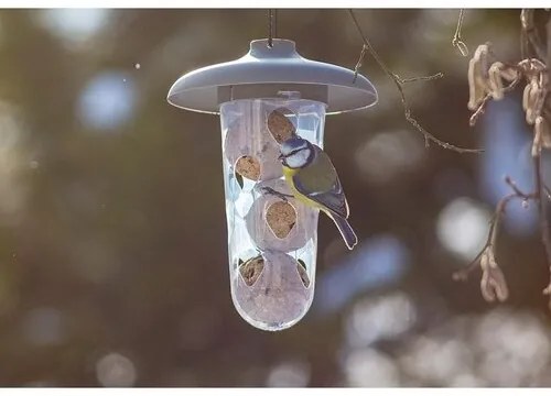 Plastia Karmnik dla ptaków Robin,  antracyt