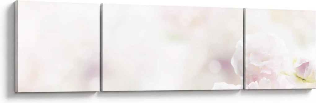 Obraz delikatnych kwiatów (170x50 cm)