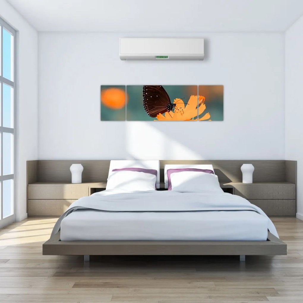 Obraz - motyl na pomarańczowym kwiatku (170x50 cm)