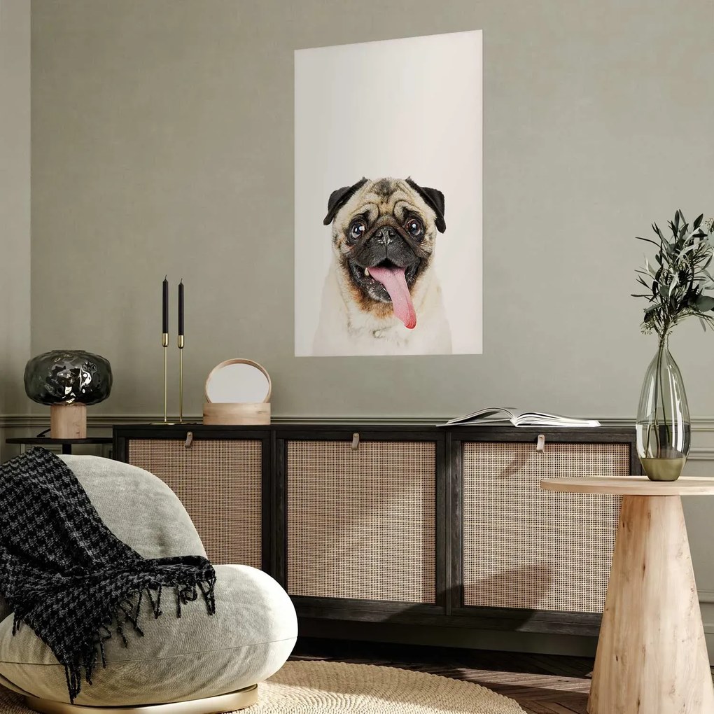 Plakat Mops 60x90 cm bez ramy bez marginesu ARTGEIST B