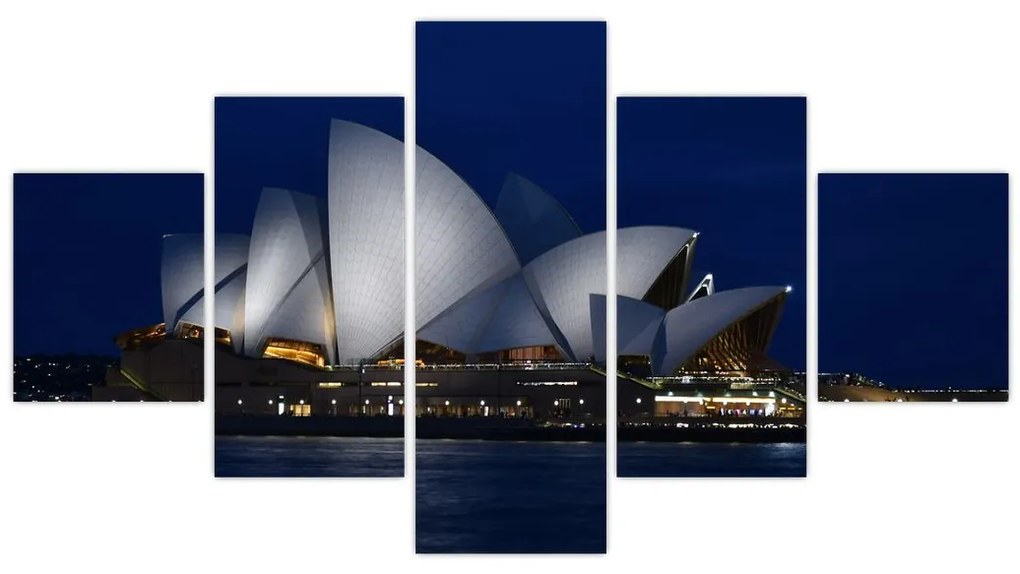 Obraz Sydney w nocy (125x70 cm)