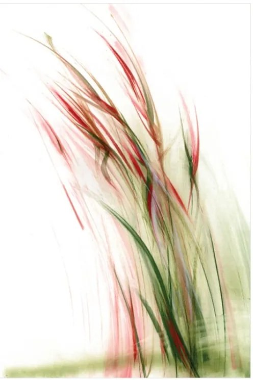 Obraz na płótnie Trawy, Seria Shanghai 2