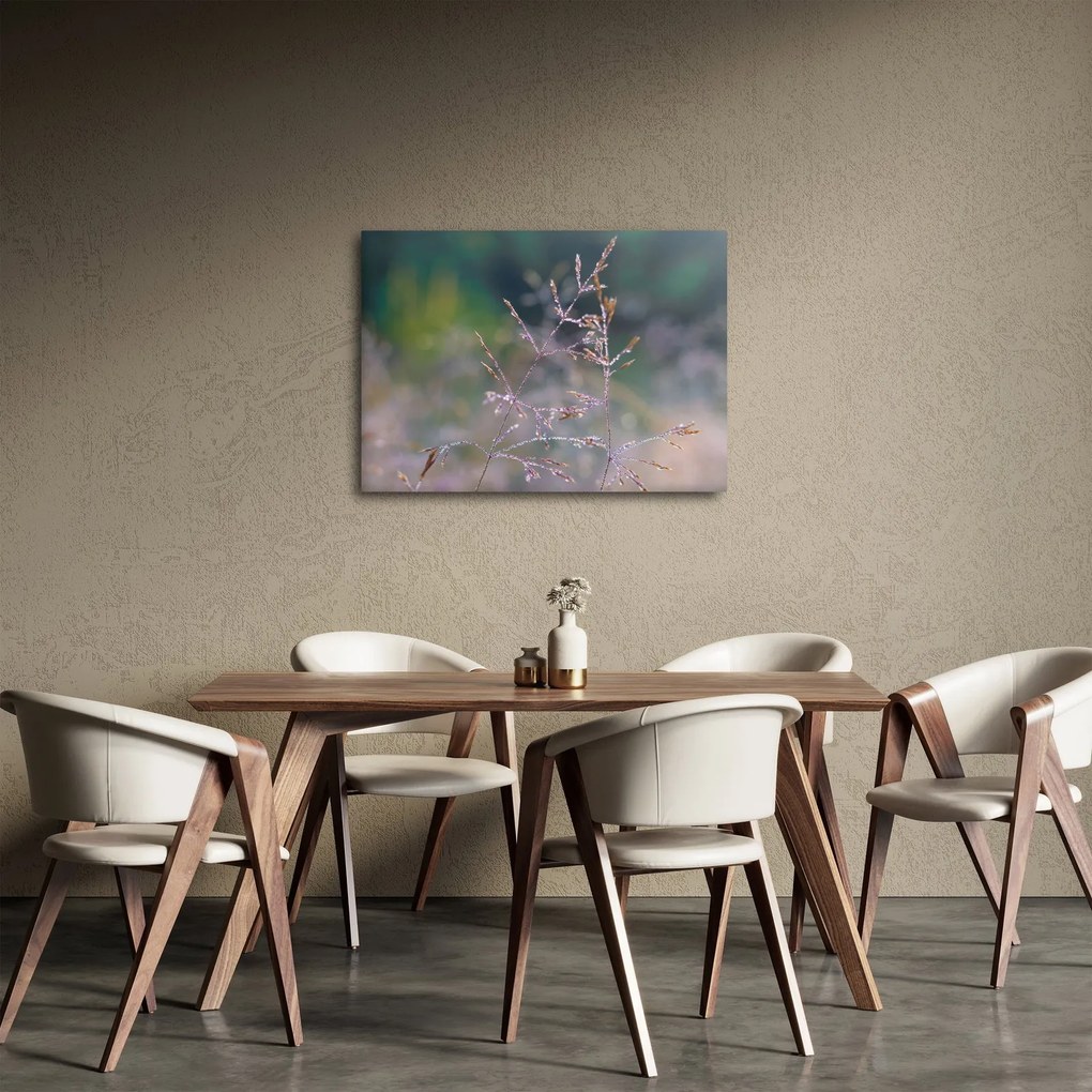 Obraz - Szczegół trawy (70x50 cm)