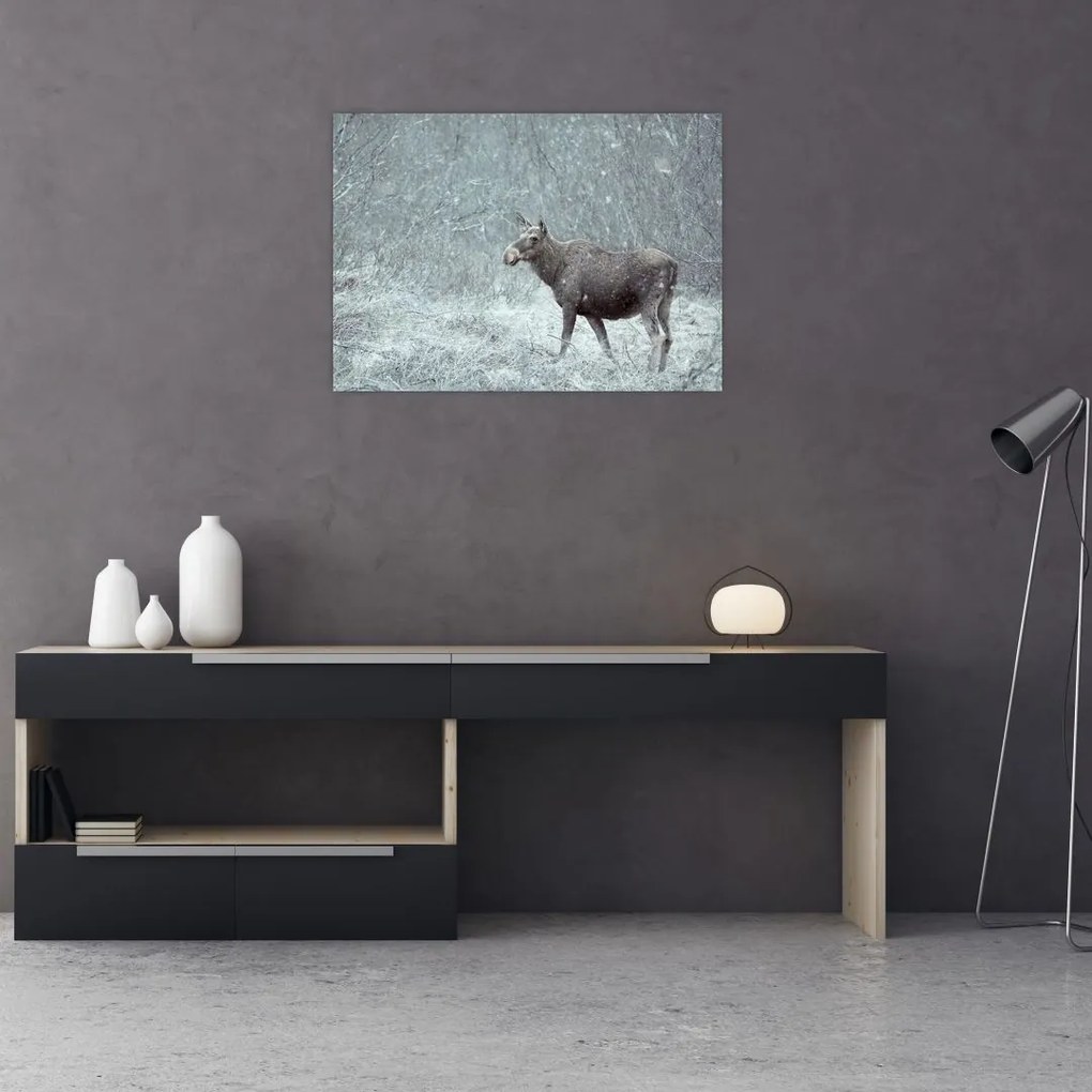 Obraz - Łoś w śnieżnym lesie (70x50 cm)