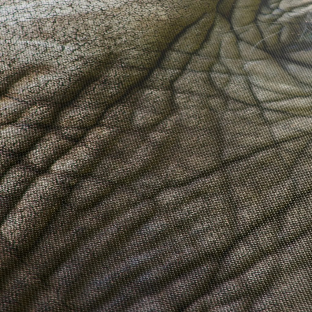 Obraz - Zbliżenie na stare oko słonia (170x50 cm)