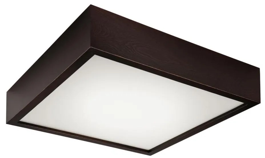 Lampa sufitowa 2xE27/60W/230V