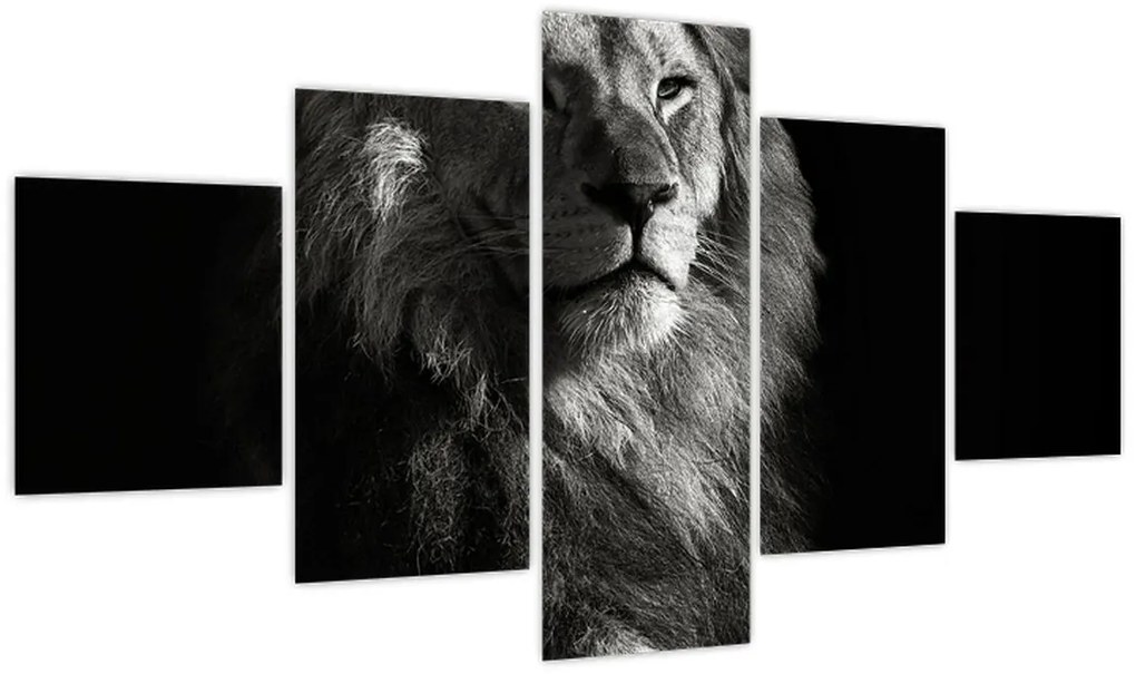 Obraz - Lew (125x70 cm)