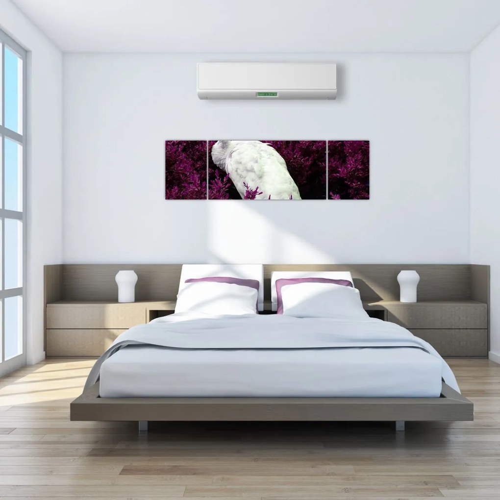 Obraz - Biały paw (170x50 cm)