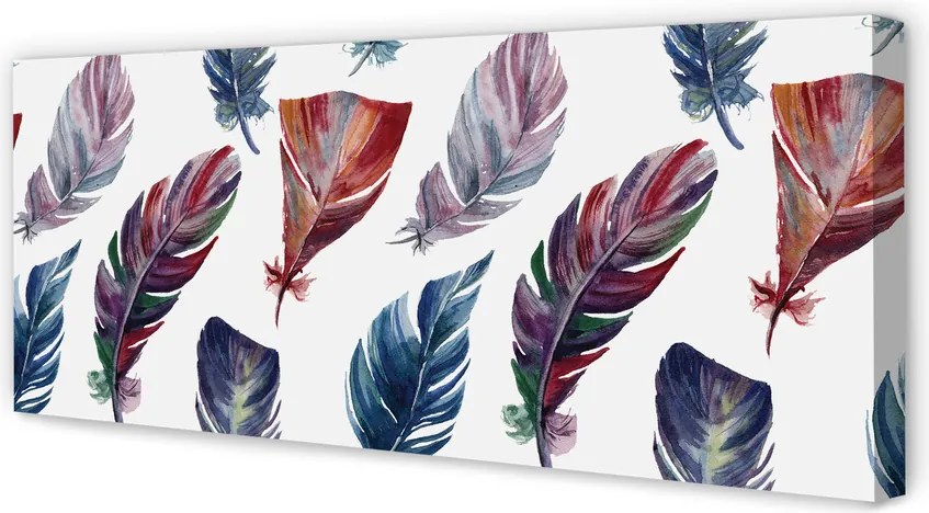 Obraz na płótnie Feeria Kolorowych Piór