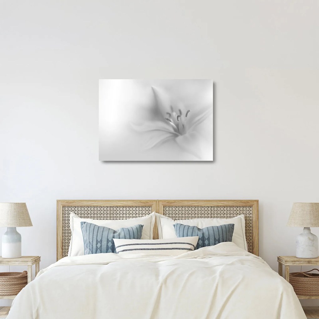 Obraz na szkle - Delikatna lilia (70x50 cm)