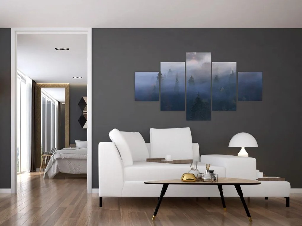 Obraz - Las we mgle, Karpaty, Ukraina (125x70 cm)