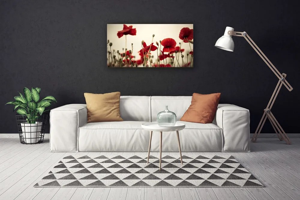 Obraz na płótnie Polne Maki w Rozkwicie