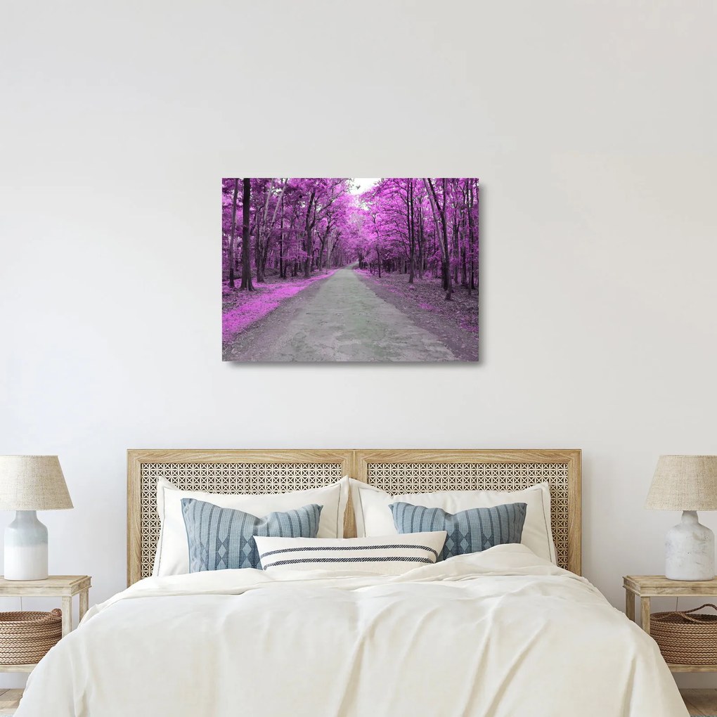 Obraz na szkle - Ścieżka przez park (70x50 cm)